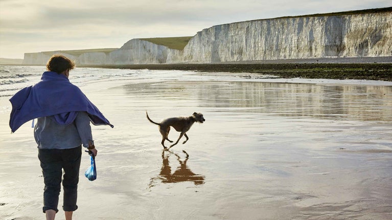 Woman walking her dog on the beach, with chalk cliffs behind, at Birling Gap, East USsex